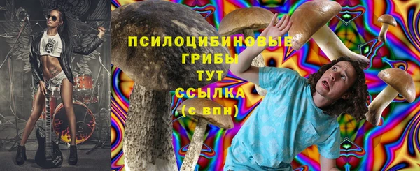 СК Абаза