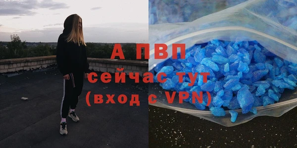 СК Абаза